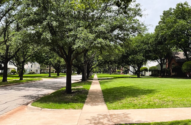 Tree-lined neighborhood sidewalk in Mauldin, SC